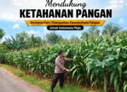 Polsek Tuban Pantau Lahan Jagung Warga, Dukung Ketahanan Pangan Berkelanjutan