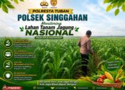 Anggota Polsek Singgahan Polresta Tuban Turun Cek Tanaman jagung Warga di Desa Lajo lor
