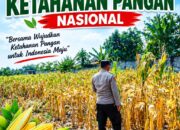 Polri Dukung Astacita, Polsek Semanding Polresta Tuban Turun Cek Tanaman jagung milik Warga di Desa Bektiharjo