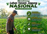 Anggota Polsek Singgahan Polresta Tuban Turun Cek Tanaman jagung Warga di Desa Mulyorejo