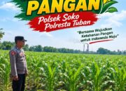 Polsek Soko Polresta Tuban Turun Langsung Cek Tanaman Jagung Warga