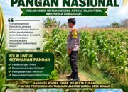 BHABINKAMTIBMAS POLSEK KEREK PANTAU PERTUMBUHAN JAGUNG, WUJUD DUKUNGAN KETAHANAN PANGAN NASIONAL