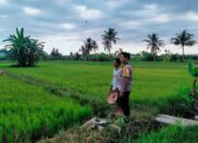 Dukung Ketahanan Pangan Nasional, Bhabinkamtibmas Desa Lekong Sambangi Petani dan Dorong Pemanfaatan Lahan Produktif