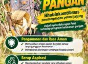 Mendukung Program Ketahanan Pangan, Bhabinkamtibmas Monitoring Pertumbuhan Jagung