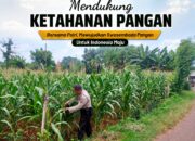 Polri Dukung Astacita, Polsek Merakurak Polres Tuban Turun Cek Tanaman Jagung Warga di Desa Tuwiri Wetan