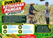 Dukung Astacita, Polsek Palang Polresta Tuban Pantau Langsung Lahan Jagung milik warga Desa Sumurgung