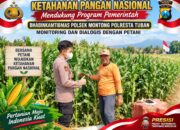 Polsek Montong Polresta Tuban Turun Cek Tanaman jagung Warga di Desa Bringin
