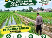 Polri Dukung Astacita, Polsek Semanding Polresta Tuban Turun Cek Tanaman jagung milik Warga di Desa Prunggahan kulon