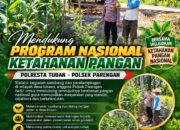Polsek Parengan Dukung Program Nasional Ketahanan Pangan melalui Sambang dan Pendampingan Petani