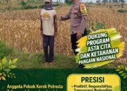 Dukung Astacita, Polsek Jatirogo Cek Langsung Ladang Jagung Warga Desa Demit