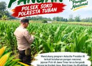 Polsek Soko Polresta Tuban Turun Langsung Cek Tanaman Jagung Warga