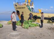 Polsek Kawasan Pelabuhan Laut Bima Patroli dan Cek Barang Bongkaran di Terminal 1 dan 2