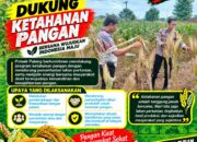 Dukung Astacita, Polsek Palang Polresta Tuban Pantau Langsung Lahan Jagung milik warga Desa Dawung