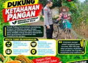 Dukung Astacita, Polsek Palang Polresta Tuban Pantau Langsung Lahan Jagung milik warga Desa Tegalbang