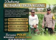 Polri Dukung Astacita, Polsek Rengel Polresta Tuban Turun Cek Tanaman Jagung Warga di Desa Sawahan