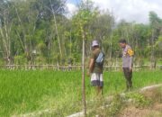 Dukung Ketahanan Pangan Nasional, Bhabinkamtibmas Sambangi Warga yang Beraktivitas di Ladang