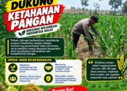 Dukung Asta Cita, Polsek Jatirogo Turun Langsung Pantau Ladang Jagung Warga Desa Sidomulyo