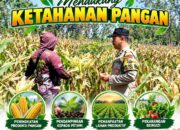 Mendukung Asta Cita Presiden Polisi RW Polsek Senori Polresta Tuban Pantau Kodisi Tanaman Jagung Milik Warga Desa Kaligede