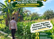 Polri Dukung Astacita, Polsek Semanding Polresta Tuban Turun Cek Tanaman jagung milik Warga di Desa Prunggahan Wetan