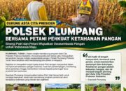 Polsek Plumpang Polresta Tuban Turun Langsung Cek Tanaman Jagung Warga