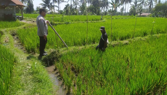 Bhabinkamtibmas Lenek Pesiraman Sambangi Warga, Monitoring Ketahanan Pangan dan Imbau Jaga Kamtibmas