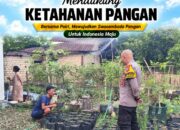 Polsek Tuban Dukung Ketahanan Pangan, Bhabinkamtibmas Pantau Pemanfaatan Lahan Pekarangan Warga