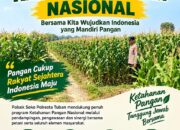 Polsek Soko Polresta Tuban Turun Langsung Cek Tanaman Jagung Warga  TUBAN, Soko (02/10/2026). Dalam rangka mendukung program Presiden Republik Indonesia terkait ketahanan pangan nasional, Polsek Soko Polresta Tuban terus berperan aktif mendampingi masyarakat, khususnya para petani di wilayah hukumnya.  Anggota Polsek Soko melaksanakan pengecekan lahan pertanian Jagung milik warga. Kegiatan tersebut merupakan tindak lanjut dari arahan Karo SDM Polda Jawa Timur Kombes Pol. Sih Harno, S.H., M.H., Kapolres Kota Tuban ,Kombespol Jazuli Dani Iriawan S.I.K.M.TR.Ospal serta Kapolsek Soko AKP.  Haryono, S.H., yang menekankan pentingnya keterlibatan Polri dalam mendukung program pemerintah, khususnya di bidang ketahanan pangan.  Kapolsek Soko AKP.  Haryono, S.H., menyampaikan bahwa Polri tidak hanya bertugas menjaga keamanan dan ketertiban masyarakat, tetapi juga hadir untuk mendampingi serta membantu masyarakat dalam mewujudkan program-program strategis nasional.  “Pengecekan tanaman Jagung ini merupakan bentuk nyata dukungan Polri terhadap program ketahanan pangan nasional sebagaimana tercantum dalam Asta Cita Presiden Republik Indonesia. Kami ingin memastikan para petani mendapatkan pendampingan serta dukungan yang diperlukan untuk meningkatkan hasil pertanian mereka,” ujar AKP Haryono, S.H.  Dalam kegiatan tersebut, anggota polsek Soko berdialog langsung dengan para petani guna mengetahui berbagai kendala yang dihadapi, mulai dari perawatan tanaman, ketersediaan pupuk, hingga potensi serangan hama. Hasil pemantauan ini nantinya akan menjadi bahan evaluasi dan koordinasi dengan pihak terkait dalam upaya meningkatkan produktivitas pertanian di wilayah Kecamatan Soko.  Melalui kegiatan turun langsung ke lahan pertanian, Polri berharap dapat mempererat sinergi dengan masyarakat serta berkontribusi dalam mewujudkan swasembada pangan dan ketahanan pangan nasional yang menjadi salah satu prioritas pemerintah.