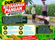 Dukung Astacita, Polsek Palang Polresta Tuban Pantau Langsung Lahan Jagung milik warga Desa Pucangan