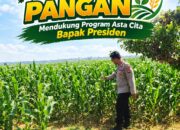 Polri Dukung Astacita, Polsek Merakurak Polresta Tuban Turun Cek Tanaman Jagung Warga di Desa Tuwiri Wetan