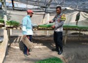 Bhabinkamtibmas Bagik Papan Cek Bibit Pertanian, Dukung Program Ketahanan Pangan