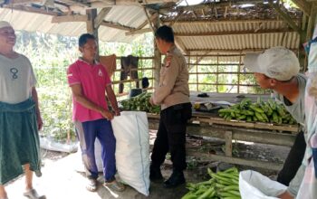 Bhabinkamtibmas Bagik Payung Selatan Sambangi Petani, Dorong Ketahanan Pangan