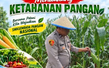 Dukung Ketahanan Pangan, Polsek Bangilan Monitoring Tanaman Jagung