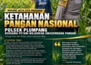 Polsek Plumpang Polresta Tuban Turun Langsung Cek Tanaman Jagung Warga