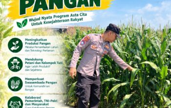 Dukung Ketahanan Pangan, Bhabinkamtibmas Monitoring Pertumbuhan Tanaman Jagung