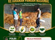 POLSEK KEREK POLRESTA TUBAN MONITORING GUDANG PENYIMPANAN DAN PENGERINGAN JAGUNG DI DESA BINAAN