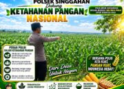 Anggota Polsek Singgahan Polresta Tuban Turun Cek Tanaman jagung Warga di Desa lajo lor
