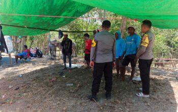 Polsek Alas Barat Amankan Tradisi “Garapan Kerbau” di Labuhan Mapin, Pastikan Kamtibmas Tetap Kondusif