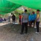 Polsek Alas Barat Amankan Tradisi “Garapan Kerbau” di Labuhan Mapin, Pastikan Kamtibmas Tetap Kondusif