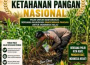 Polsek Soko Polresta Tuban Turun Langsung Cek Tanaman Jagung Warga