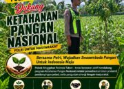 Anggota Polsek Singgahan Polresta Tuban Turun Cek Tanaman jagung Warga di Desa Tingkis