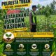 Anggota Polsek Singgahan Polresta Tuban Turun Cek Tanaman jagung Warga di Desa Tingkis