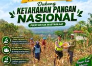 Polri Dukung Astacita, Polsek Rengel Polresta Tuban Turun Cek Tanaman Jagung Warga di Desa Pekuwon