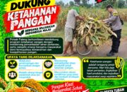 Dukung Astacita, Polsek Palang Polresta Tuban Pantau Langsung Lahan Jagung milik warga Desa Tegalbang