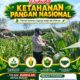 Polsek Bangilan Dukung Ketahanan Pangan Nasional, Pantau Tanaman Jagung Warga