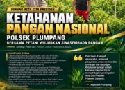 Polsek Plumpang Polresta Tuban Turun Langsung Cek Tanaman Jagung Warga