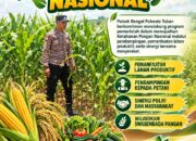 Polri Dukung Astacita, Polsek Rengel Polresta Tuban Turun Cek Tanaman Jagung Warga di Desa Sawahan