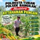 Dukung Program Ketahanan Pangan, Polsek Bangilan Monitoring Pertumbuhan Tanaman Jagung