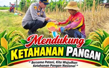 Dukung Program Ketahanan Pangan Kapolsek Senori Polresta Tuban Polda Jatim Menanam Jagung Bersama Warga Desa Sidoharjo
