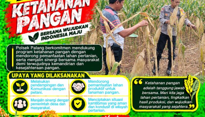 Dukung Astacita, Polsek Palang Polresta Tuban Pantau Langsung Lahan Jagung milik warga Desa Tegalbang