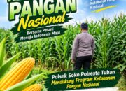 Polsek Soko Polresta Tuban Turun Langsung Cek Tanaman Jagung Warga